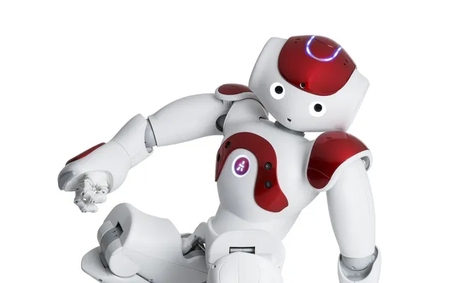 NAO6 (NAO V6) — zdjęcie
